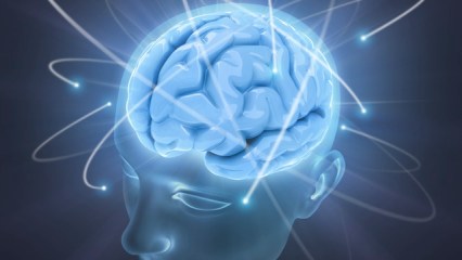 f445b7b8f135601418058cc9891ca89a