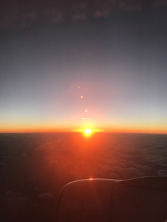 942305AA-BDA6-4401-8082-E1F31749A700-thumbnail2