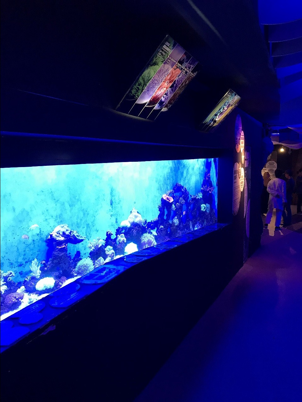 水族館