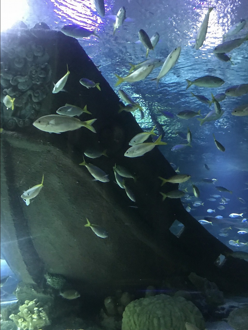 水族館