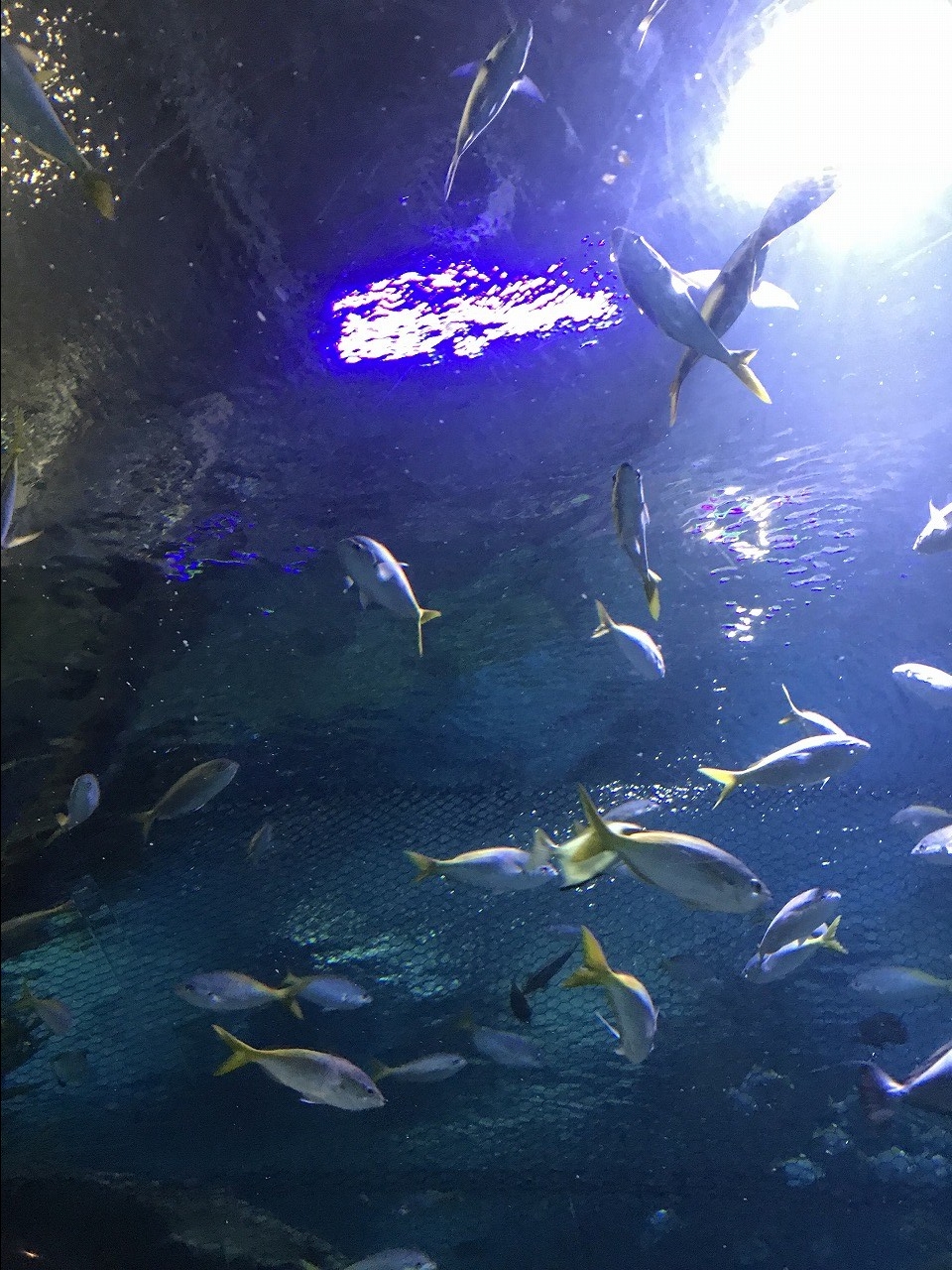 水族館
