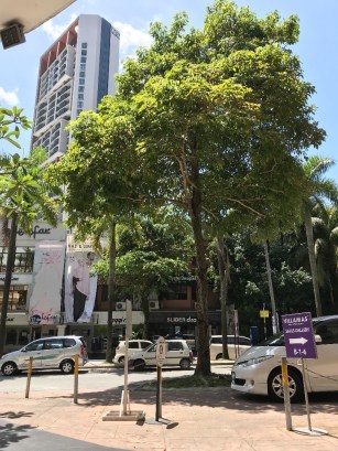 157CAF64-61CF-4849-B91C-223B79CF3FF2